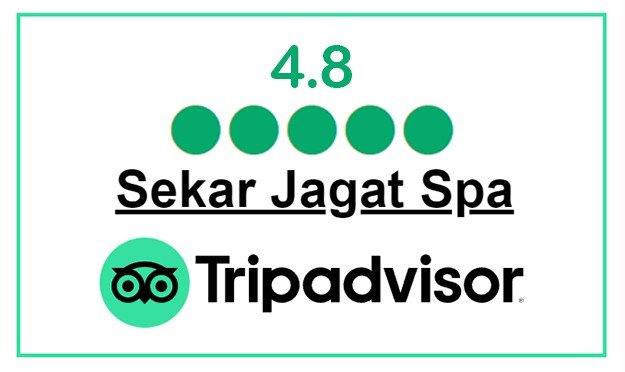 Tripadvisor spa review badge